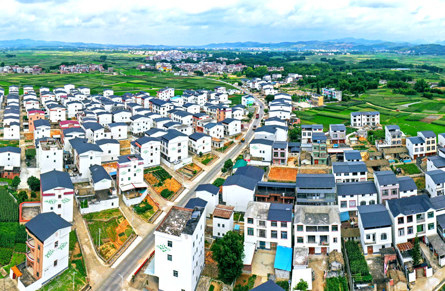 Hengzhou, Guangxi: Bunga Mekar Meliputi Seluruh Bandar