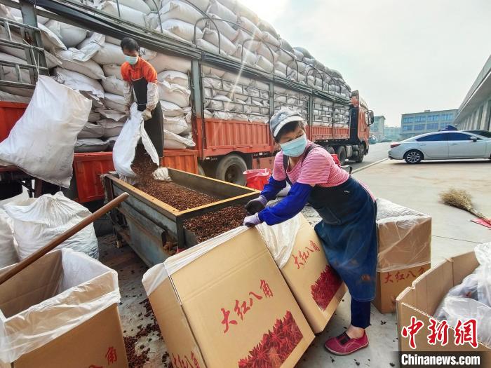 Jejak Kaki di Ibu Kota Rempah-ratus, Yulin 