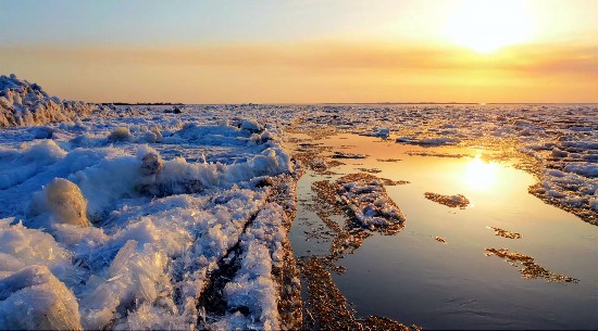 Flora ais di permukaan Sungai Heilongjiang di bandar Fushun.