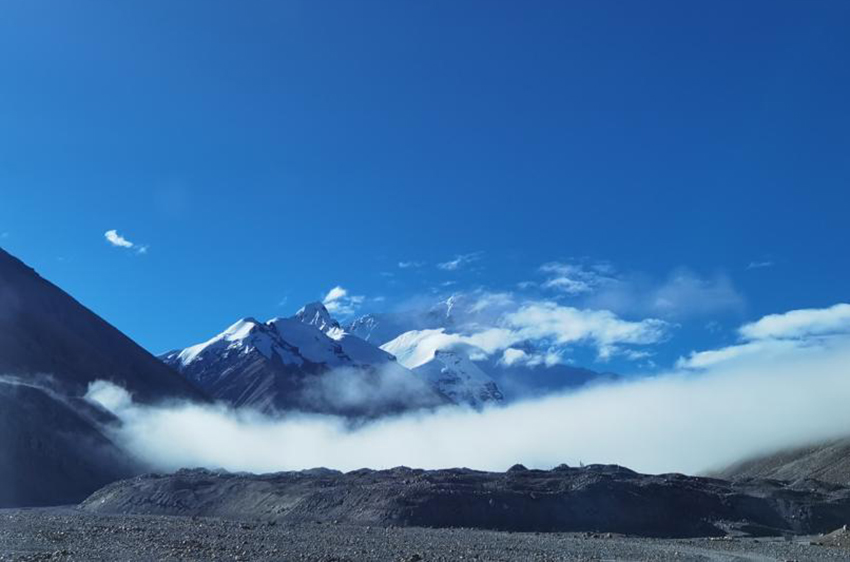 Flowston di Gunung Everest. (foto: Institut Botani Kunming, Akademi Sains China)