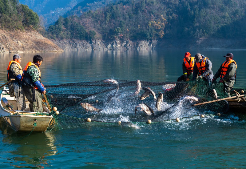 Nelayan menangkap ikan di Takungan Air Shengping pada 7 Januari, 2023.