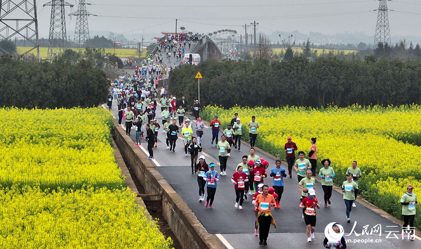 11 Ribu Lari Maraton Dilatari Bunga Sesawi di Yunnan