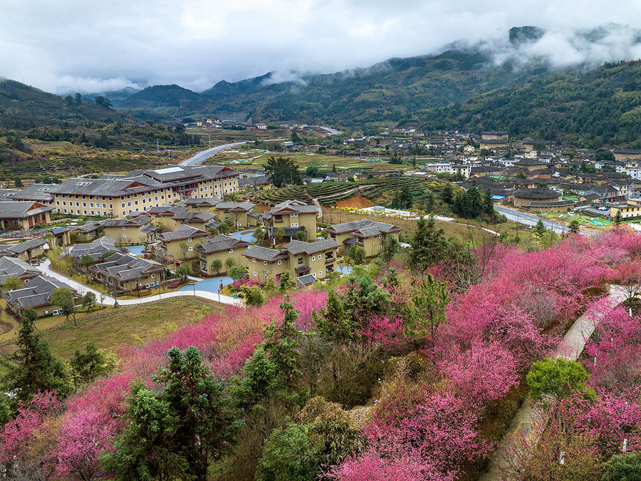 Suasana Musim Bunga Tambah Pesona Tulou di Fujian