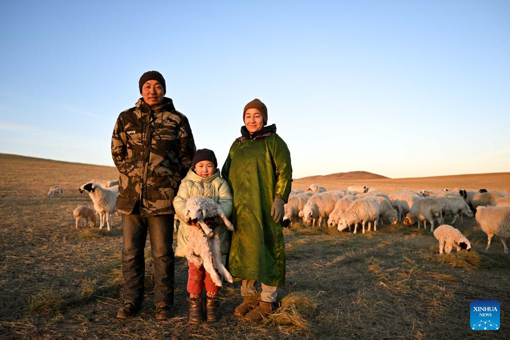 Musim Paling Sibuk bagi Gembala di Mongolia Dalam