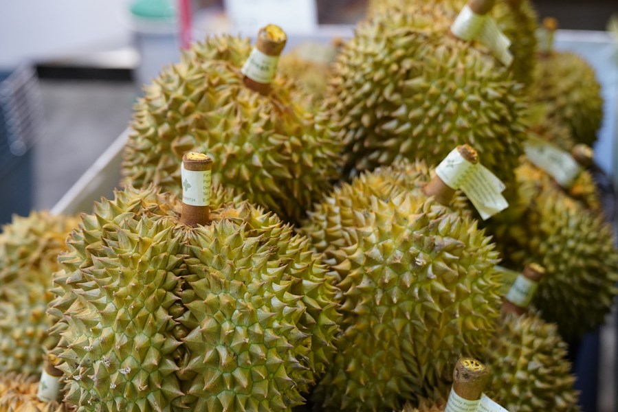 Foto yang diambil pada September 2022 ini menunjukkan durian di sebuah kedai buah-buahan di Guangxi, China. (foto: Zhao Huan/Xinhua)