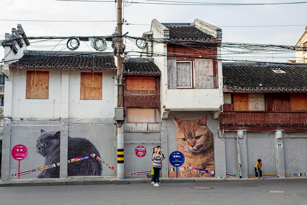 Mural Kucing Hiasi Jalan Bersejarah di Shanghai