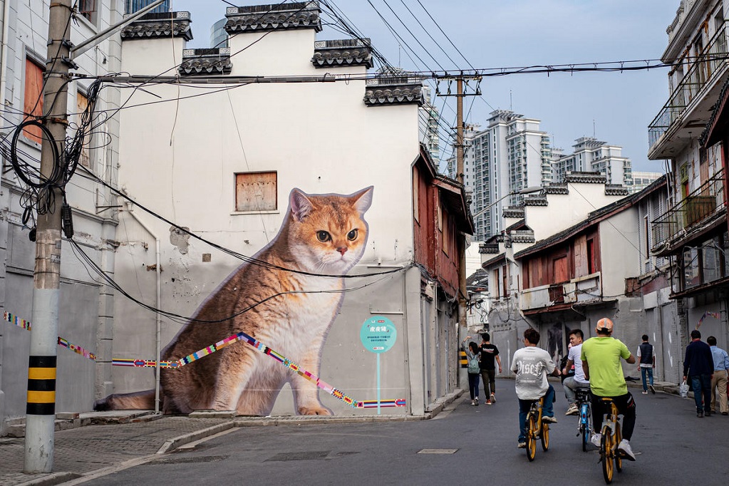 Jalan bersejarah di Shanghai dihias dengan mural kucing. (Foto/Wang Chu)