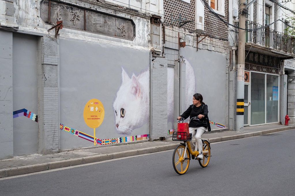 Mural Kucing Hiasi Jalan Bersejarah di Shanghai