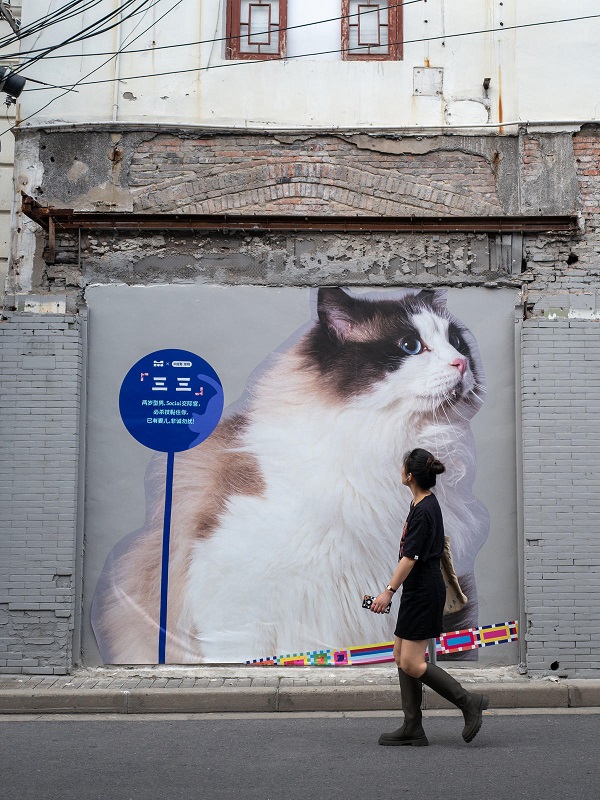 Mural Kucing Hiasi Jalan Bersejarah di Shanghai