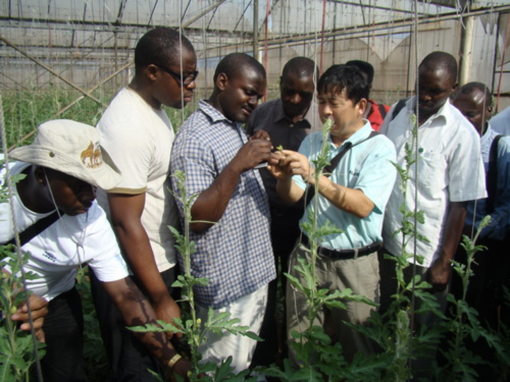 Ahli sains dari Akademi Sains Pertanian Tropika China melatih pelajar Republik Congo di kebun contoh.