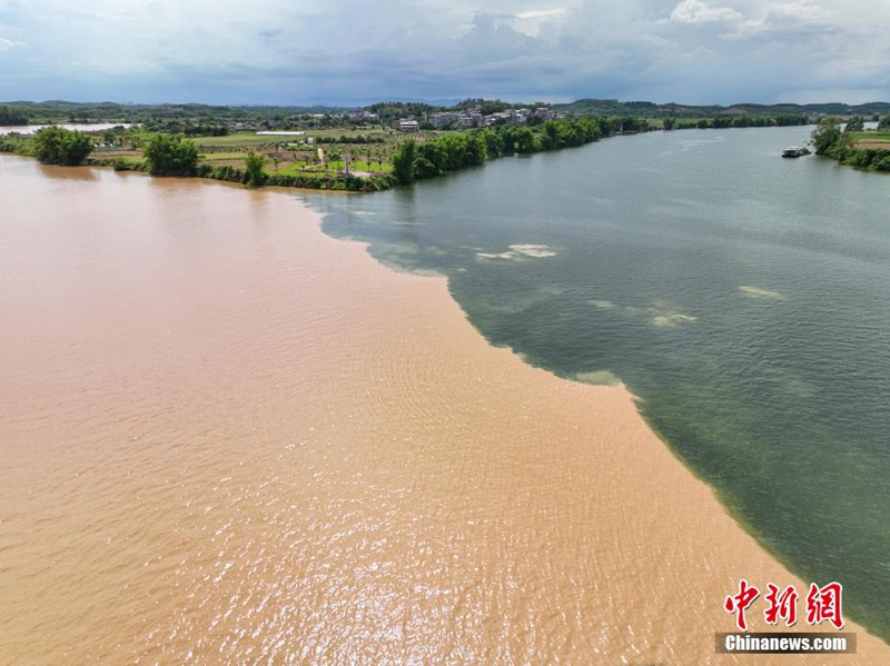 Fenomena Air Dua Warna di Tempat Temu Tiga Sungai