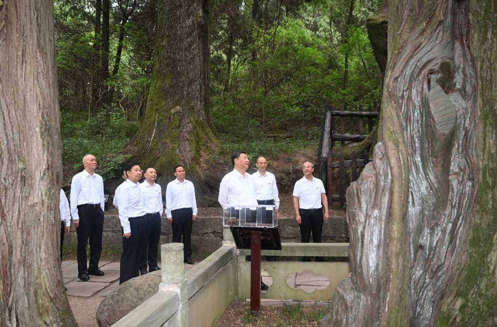 Xi Jinping Tinjau di Sichuan