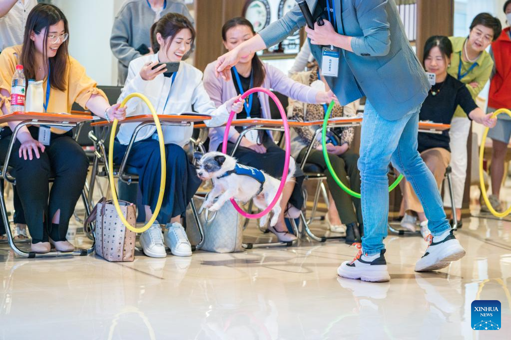 Pelatih haiwan melatih seekor anjing di Shanghai, timur China, 28 Mei 2023. (Xinhua)