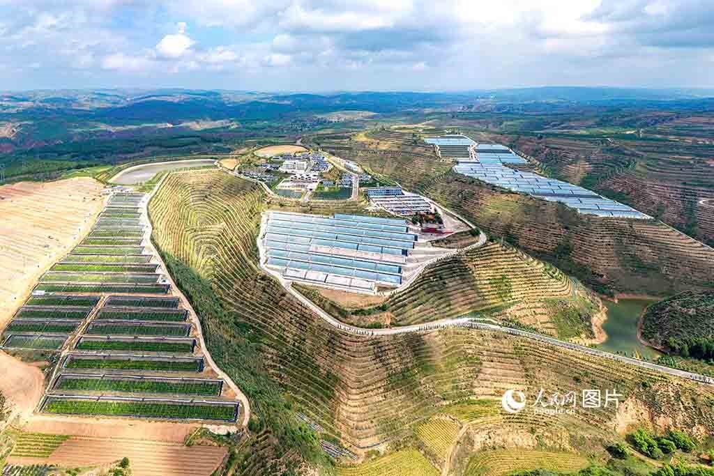 Bangsal tanaman buah dan sayur di pergunungan kaunti Hequ, bandar Xinzhou, provinsi Shanxi. (People's Daily Online/Lu Pengyu)