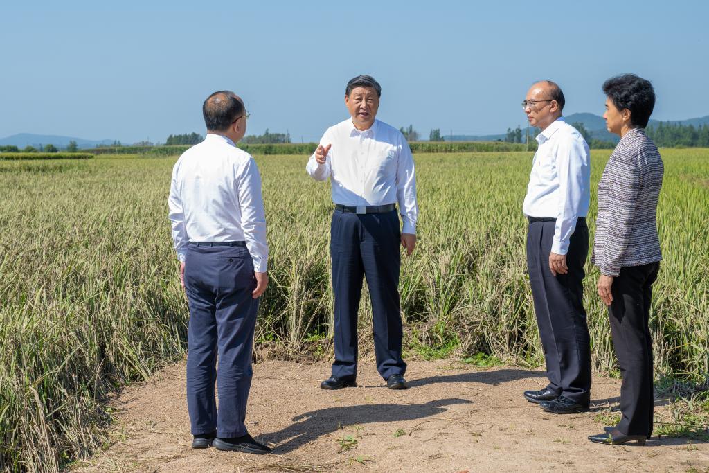 Presiden Xi Jinping Kunjungi Mangsa Banjir di Heilongjiang