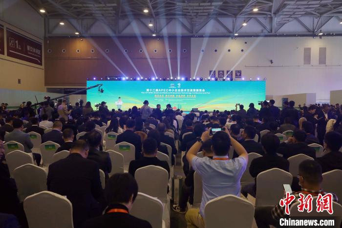 Pameran Teknologi Perusahaan Kecil dan Sederhana APEC ke-12 membuka tirai di daerah Laoshan, bandar Qingdao, provinsi Shandong. (China News Network/Hu Yaojie)