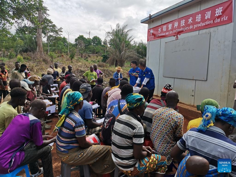 Foto menunjukkan pakar dari pasukan kerjasama teknologi pertanian China melatih pesawah tempatan di Divo, Cote d'Ivoire, 29 April 2023. (Pasukan Kerjasama Teknologi Pertanian China di Cote d'Ivoire/menerusi Xinhua)