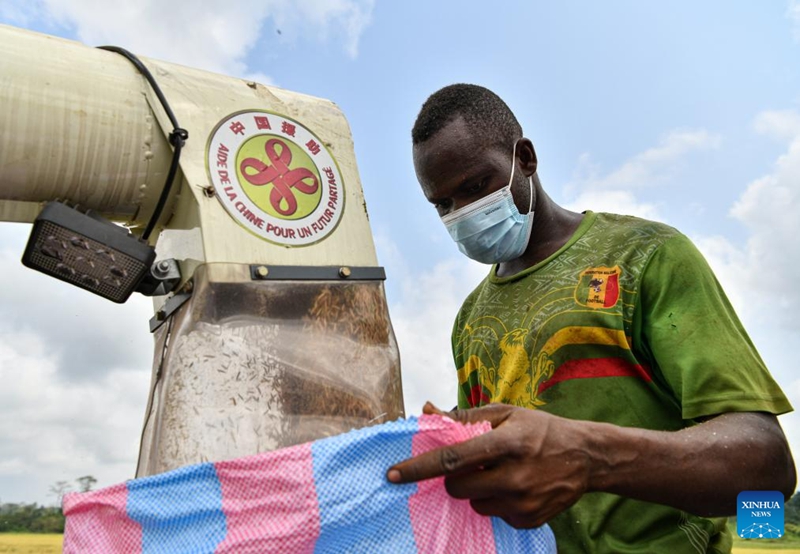 Pakar China Bantu Pesawah Cote d'Ivoire Banyakkan Hasil