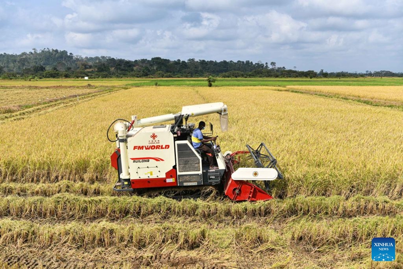 Pakar China Bantu Pesawah Cote d'Ivoire Banyakkan Hasil