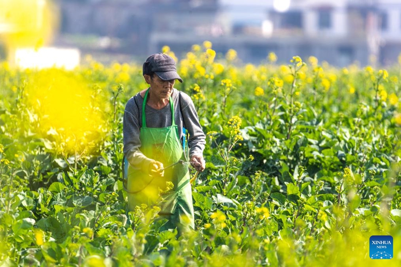 Petani Seluruh China Tambah Sibuk Menjelang Yushui