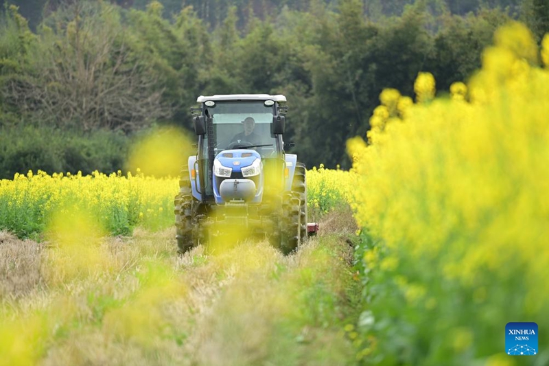 Petani Seluruh China Tambah Sibuk Menjelang Yushui