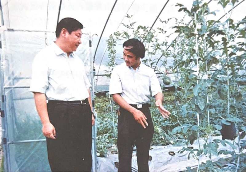 Presiden Xi Jinping memantau rumah hijau sayur di Longjing, provinsi Fujian. (Foto/Buku Xi Jinping di Fujian)