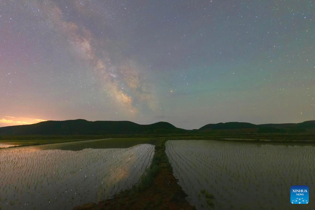 Gambar yang diambil pada 2 Jun 2024 ini memaparkan pemandangan di sawah padi di bandar Hailin, provinsi Heilongjiang, di timur laut China. Musim pindah tanam beras hampir tamat di Heilongjinag, iaitu tempat pengeluaran bijirin utama di China, yang dikenali sebagai ‘bangsal bijirin’ negara. (Xinhua/Qu Yubao