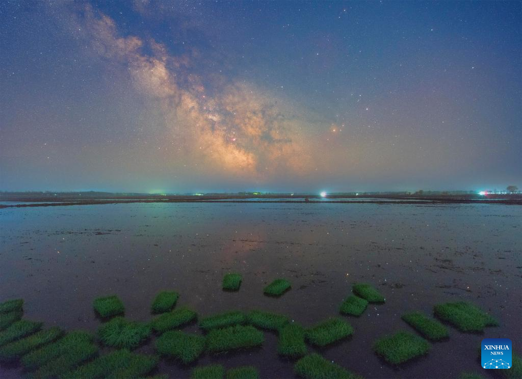 Foto yang diambil pada 8 Mei 2024 ini memperlihatkan bendang bagi pindah tanam beras di Fujin, bandar di provinsi Heilongjiang, di timur laut China. Musim pindah tanam beras hampir tamat di Heilongjinag, iaitu tempat pengeluaran bijirin utama di China, yang dikenali sebagai ‘bangsal bijirin’ negara. (Xinhua/Qu Yubao)