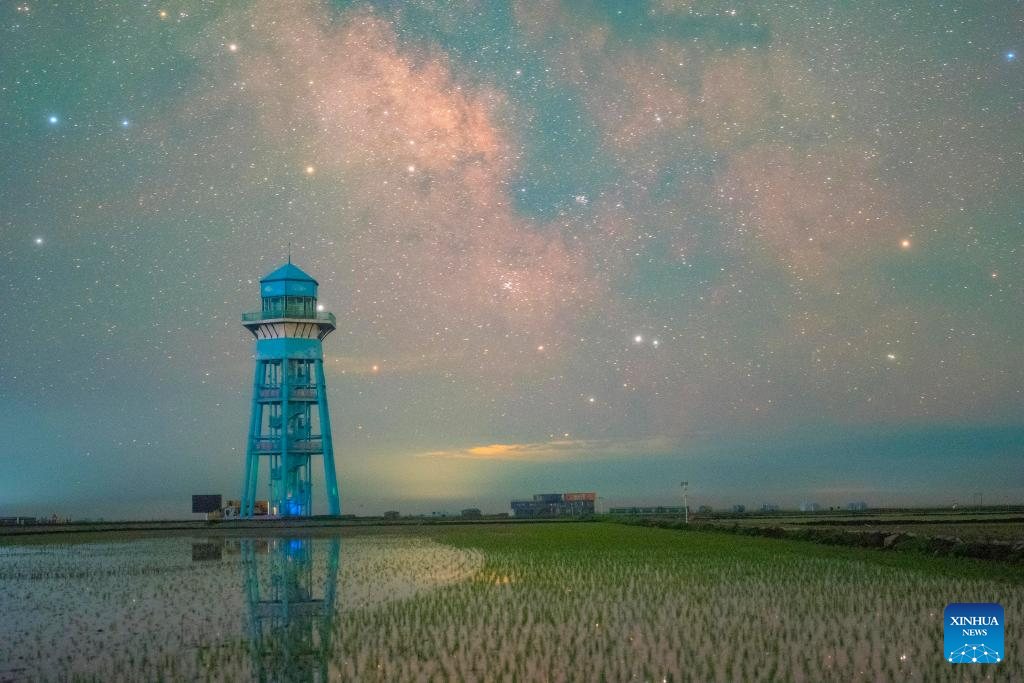 Gambar yang diambil pada 2 Jun 2024 ini memaparkan pemandangan di sawah padi di bandar Fujin, provinsi Heilongjiang, di timur laut China. Musim pindah tanam beras hampir tamat di Heilongjinag, iaitu tempat pengeluaran bijirin utama di China, yang dikenali sebagai ‘bangsal bijirin’ negara. (Xinhua/Qu Yubao)