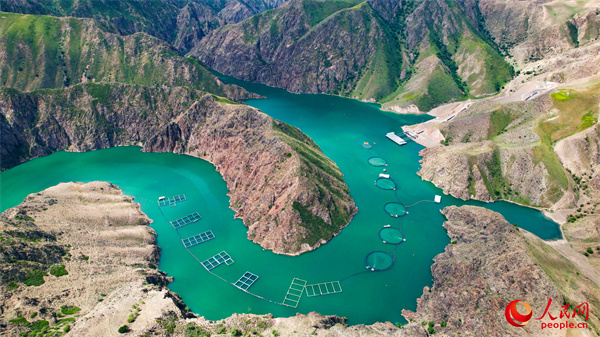 Ladang Salmon Tianyun Xinjiang. (People