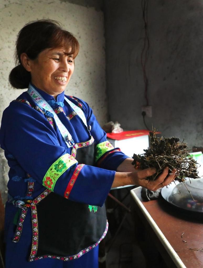 Seorang penduduk kampung menunjukkan daun teh yang digunakan untuk membuat teh minyak di Kampung Bunong di Weijiang di Kaunti Longsheng, Wilayah Autonomi Guangxi Zhuang, selatan China, 26 Jun 2024. (Xinhua/Fang Zhe)