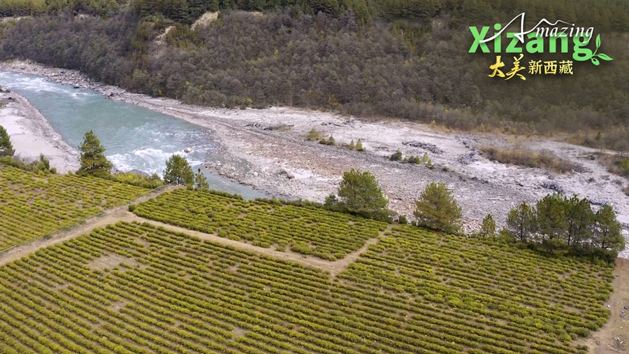 Xizang yang Menakjubkan: Tanah Misteri Yi’ong