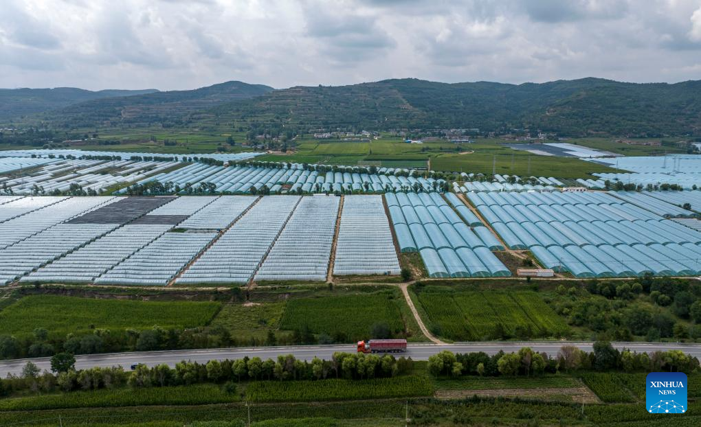 Foto yang diambil menggunakan dron pada 2 Ogos 2024 ini memperlihatkan pangkalan penanaman sayur di Perbandaran Shatang, Bandar Guyuan, Wilayah Autonomi Ningxia Hui, di barat laut China. Pada tahun-tahun mutakhir ini, Perbandaran Shantang telah memberi keutamaan terhadap pembangunan fasiliti pertanian dengan mengguna pakai teknologi termasuk bioteknologi cacing tanah dan bioteknologi jerami untuk meningkatkan pengeluaran sayur-sayuran. (Xinhua/Yang Zhisen)