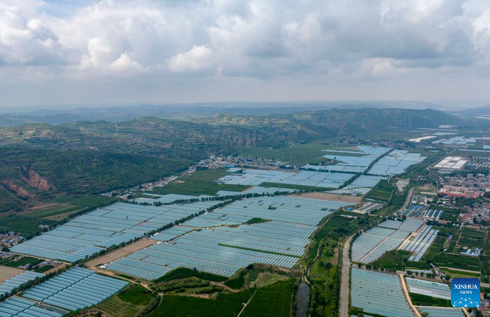 Foto yang diambil pada 2 Ogos 2024 ini memaparkan pemandangan  pangkalan penanaman sayur di Perbandaran Shatang, Bandar Guyuan, Wilayah Autonomi Ningxia Hui, barat laut China. Pada tahun-tahun mutakhir ini, Perbandaran Shantang telah memberi keutamaan terhadap pembangunan fasiliti pertanian dengan mengguna pakai teknologi termasuk bioteknologi cacing tanah dan bioteknologi jerami untuk meningkatkan pengeluaran sayur-sayuran. (Xinhua/Yang Zhisen)