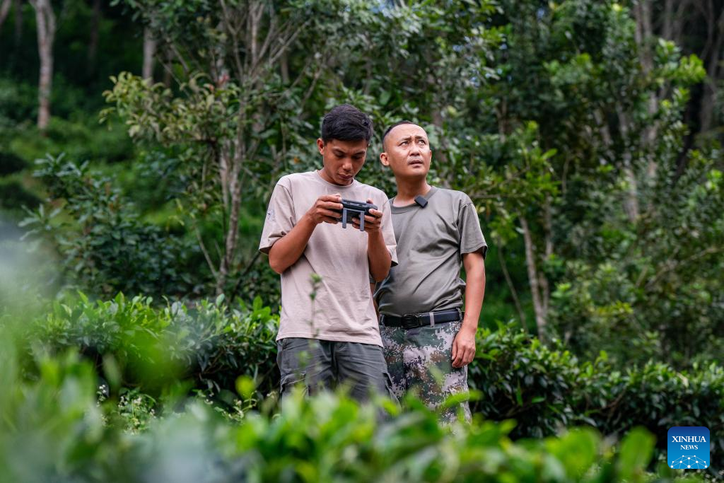 Pemantau gajah Asia Yang Jun (kanan) dan rakannya menerbangkan kenderaan udara tanpa pemandu untuk mengesan gajah A Bao di Bandar Jinghong, Wilayah Autonomi Xishuangbanna Dai di Provinsi Yunnan, barat daya China, pada 10 Ogos 2024. (Xinhua/Hu Chao)