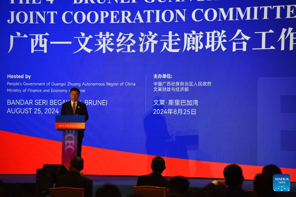 Setiausaha Jawatankuasa Wilayah Autonomi Guangxi Zhuang Parti Komunis China, Liu Ning menyampaikan ucapannya dalam forum Koridor Ekonomi Brunei-Guangxi (BGEC) di Guizhou, pada 25 Ogos 2024 (Xinhua/Li Meng)