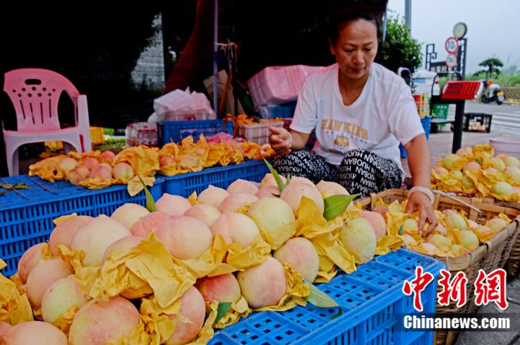 Seorang wanita menjual pic dari daerah Fenghua di bandar Ningbo, Provinsi Zhejiang, timur China. (Foto/Shu Wubin)