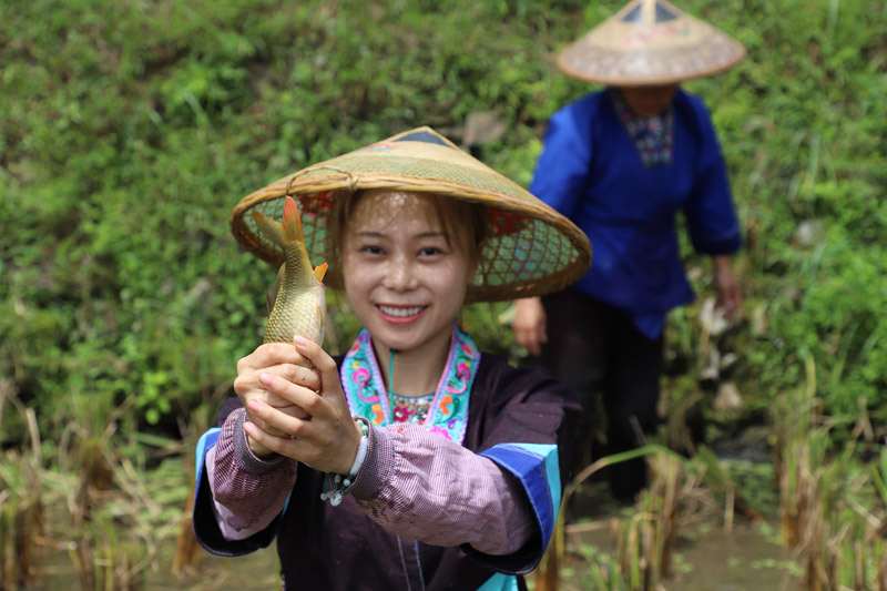 Seorang penduduk kampung melemparkan senyuman sambil menunjukkan ikan yang ditangkapnya di Kaunti Autonomi Rongshui Miao di Wilayah Autonomi Guangxi Zhuang di selatan China. (Foto/Huang Cheng)