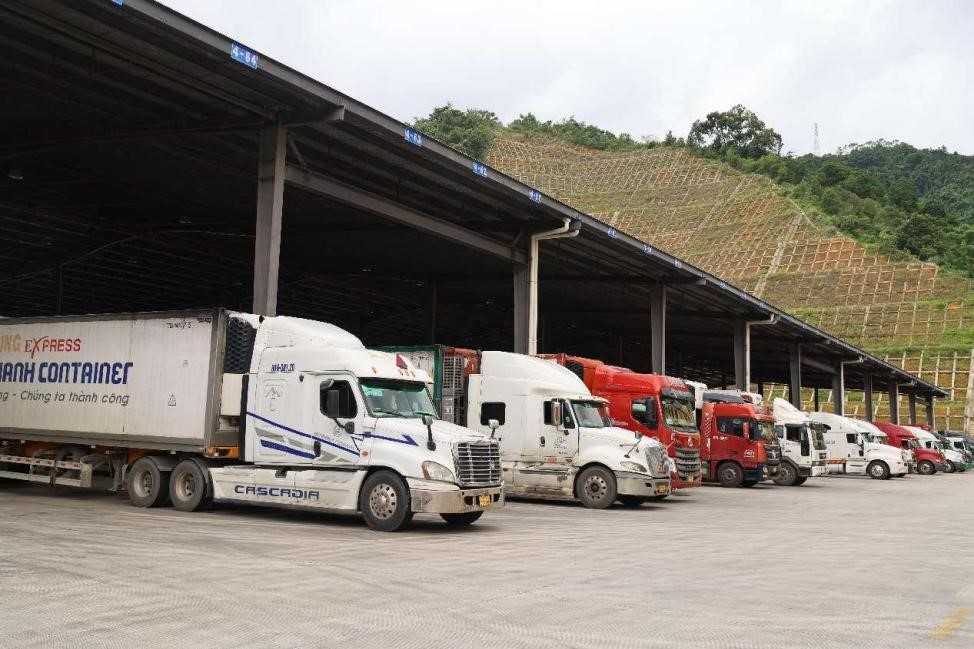 Buah-buahan sedang dikeluarkan daripada trak di sebuah pusat perdagangan buah di perbandaran Youyi, Pingxiang, wilayah autonomi Guangxi Zhuang. (People’s Daily/Zhang Penghui)