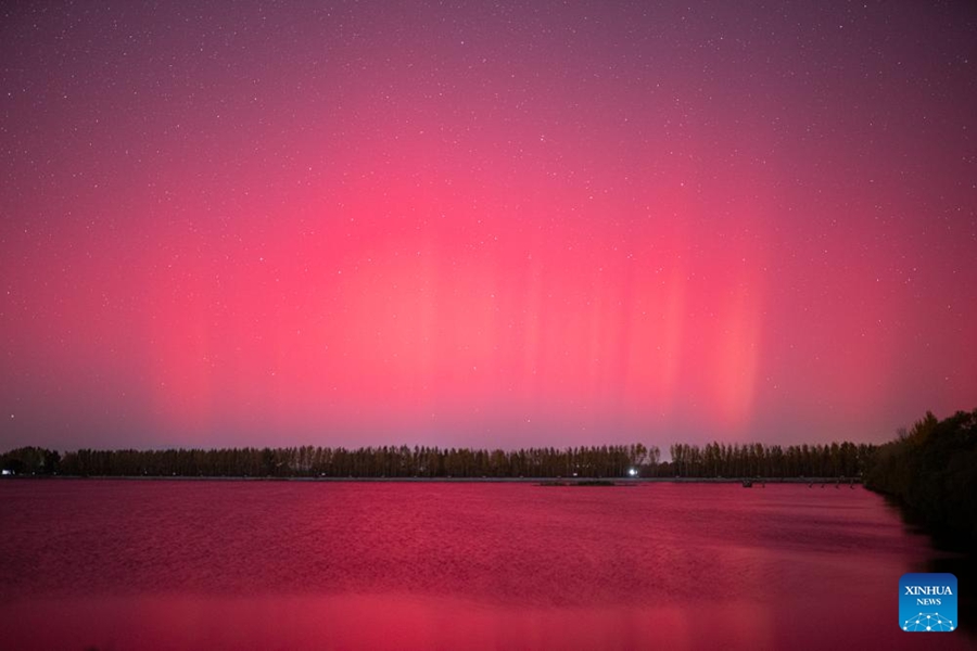 Foto bertarikh 11 Oktober 2024 ini menunjukkan fenomena cahaya utara di sebuah tanah lembap di bandar Harbin, provinsi Heilongjiang, timur laut China. (Foto oleh Liu Dapeng/Xinhua)